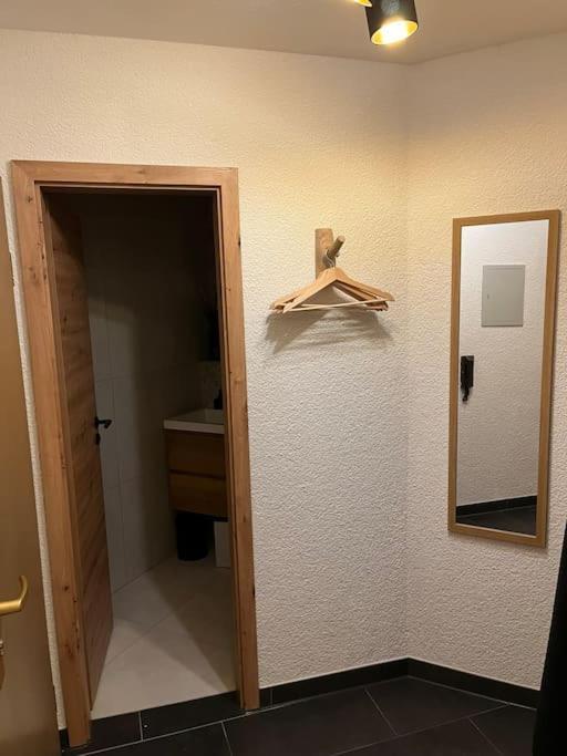 Ferienappartement Schwarzwaldeck In Todtnauberg Extérieur photo