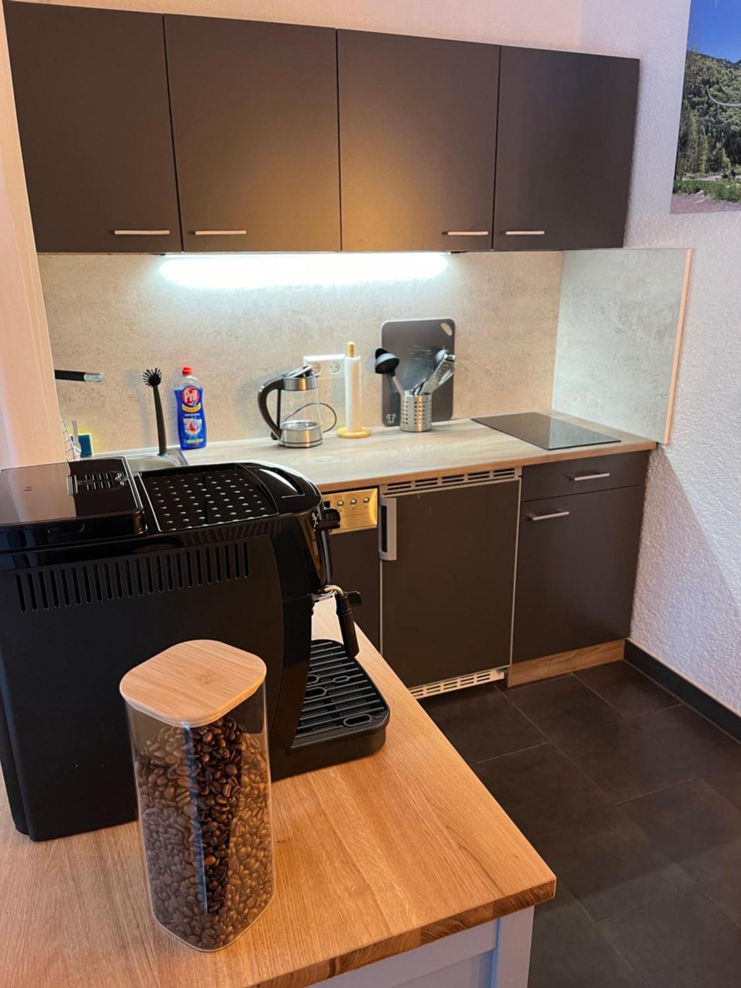 Ferienappartement Schwarzwaldeck In Todtnauberg Extérieur photo