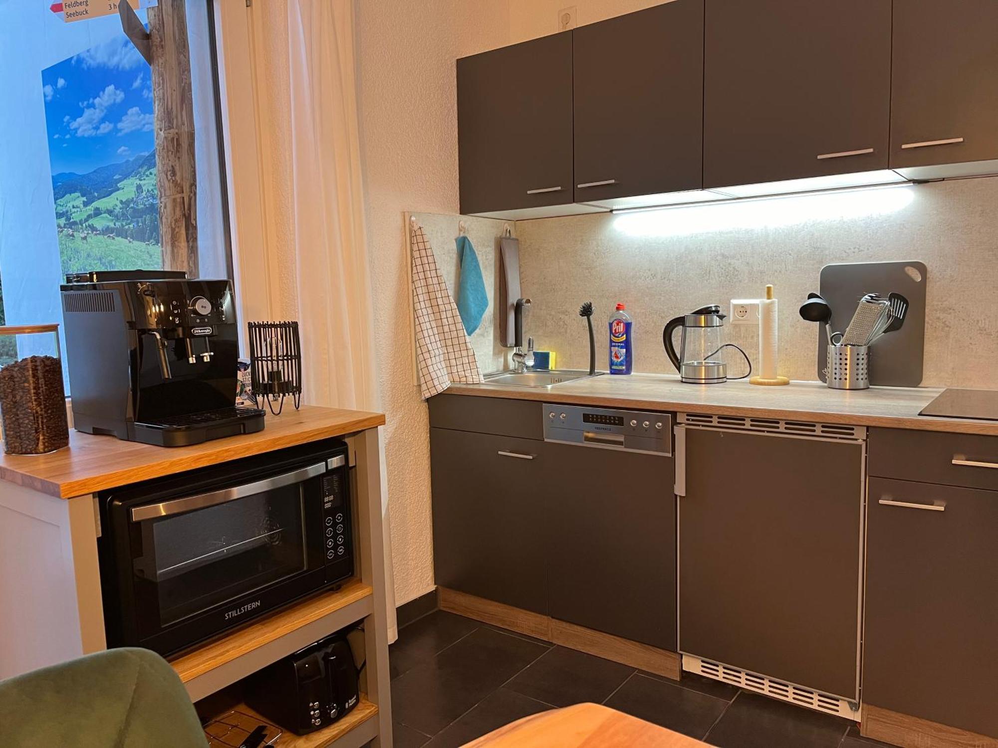 Ferienappartement Schwarzwaldeck In Todtnauberg Extérieur photo
